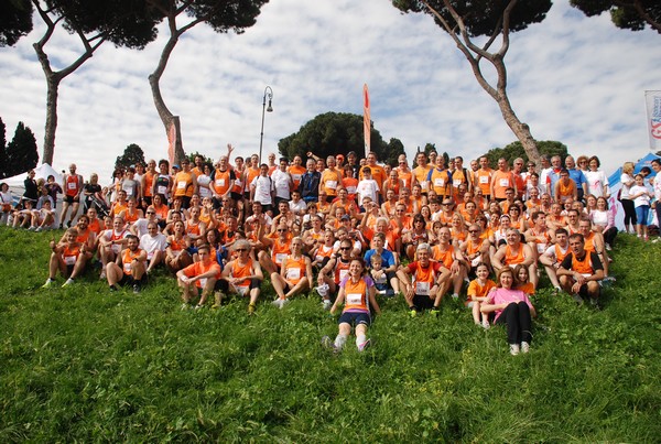 Race For The Cure (19/05/2013) 00003