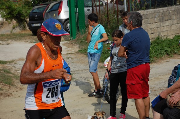 Amatrice Configno (C.E.) (24/08/2013) 00018