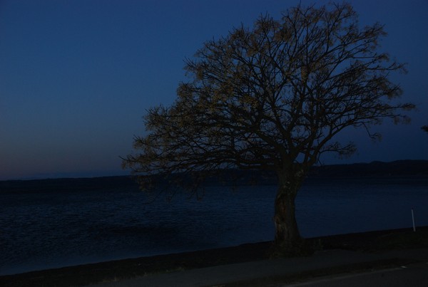 Giro del Lago di Bracciano (10/02/2013) 00006