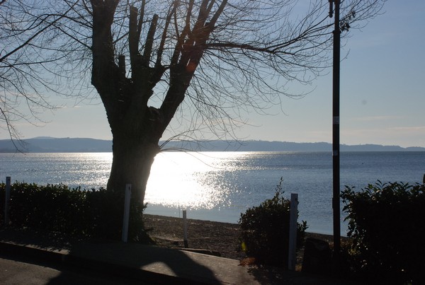 Giro del Lago di Bracciano (10/02/2013) 00064