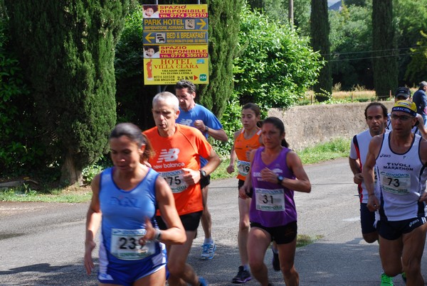 Maratonina di Villa Adriana (26/05/2013) 00013