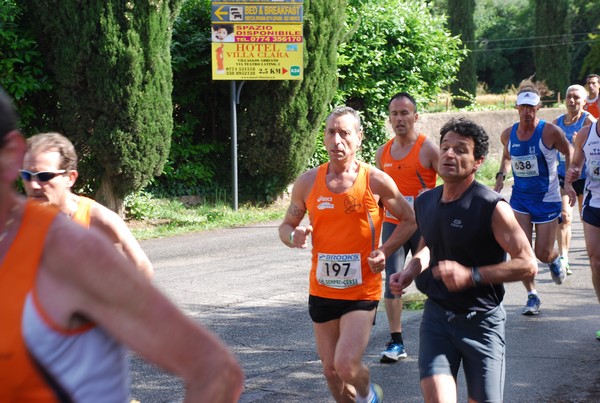 Maratonina di Villa Adriana (26/05/2013) 00021