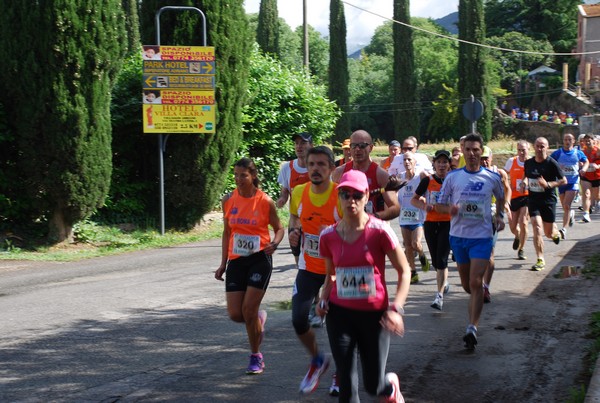 Maratonina di Villa Adriana (26/05/2013) 00045