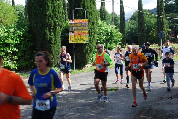 Maratonina di Villa Adriana (26/05/2013) 00061
