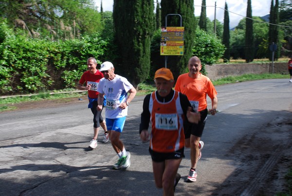 Maratonina di Villa Adriana (26/05/2013) 00073