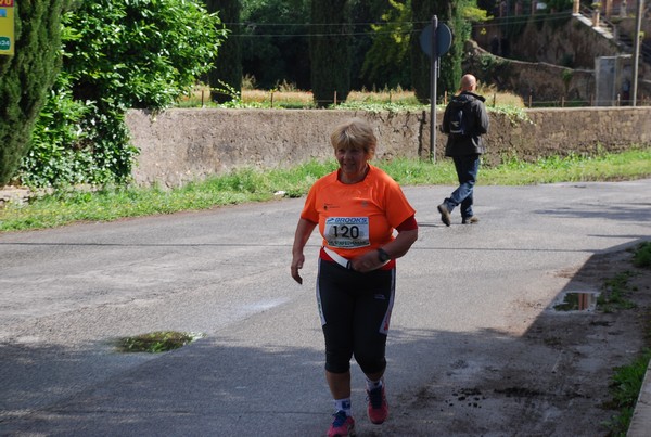 Maratonina di Villa Adriana (26/05/2013) 00077