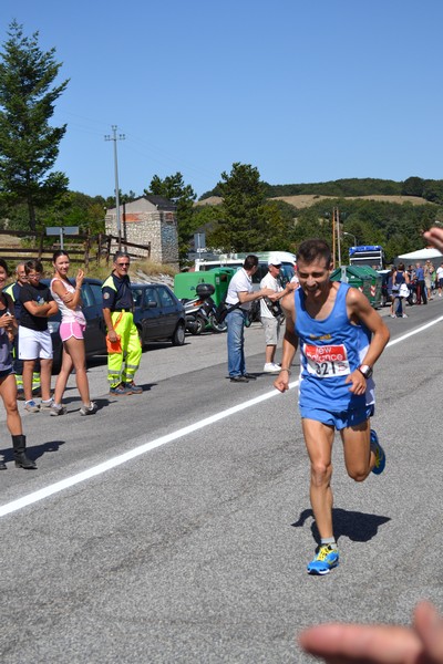 La Speata (04/08/2013) 00004