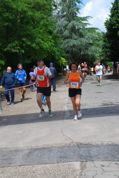 Maratonina di Villa Adriana (26/05/2013) 00002