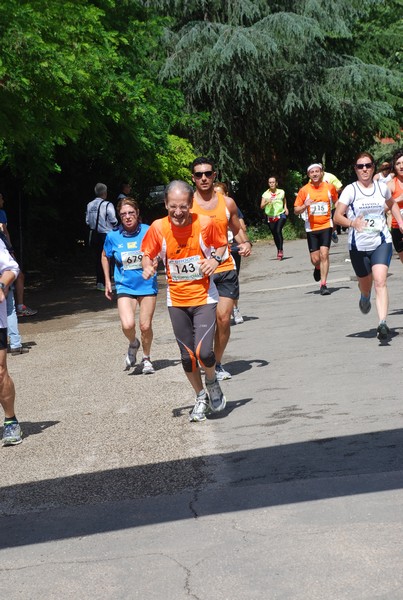 Maratonina di Villa Adriana (26/05/2013) 00024