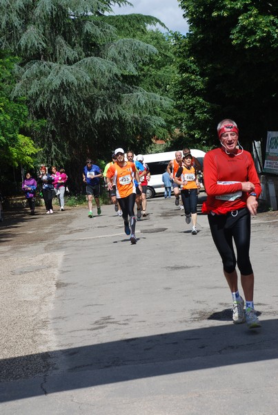 Maratonina di Villa Adriana (26/05/2013) 00029
