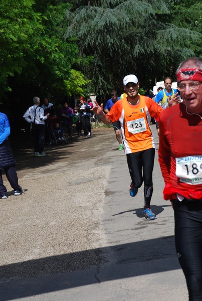 Maratonina di Villa Adriana (26/05/2013) 00031