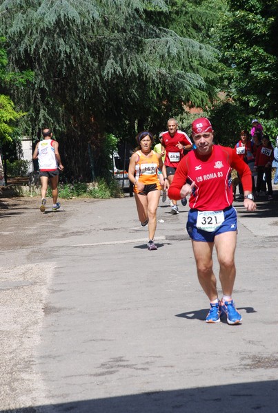 Maratonina di Villa Adriana (26/05/2013) 00045