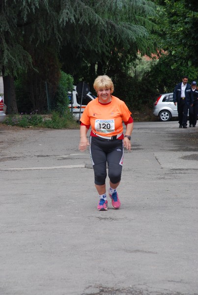 Maratonina di Villa Adriana (26/05/2013) 00101