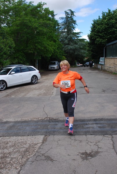 Maratonina di Villa Adriana (26/05/2013) 00103