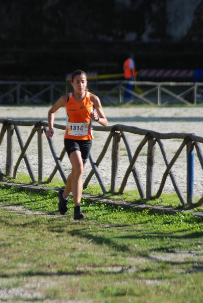 Maratona di Roma a Staffetta (19/10/2013) 00015