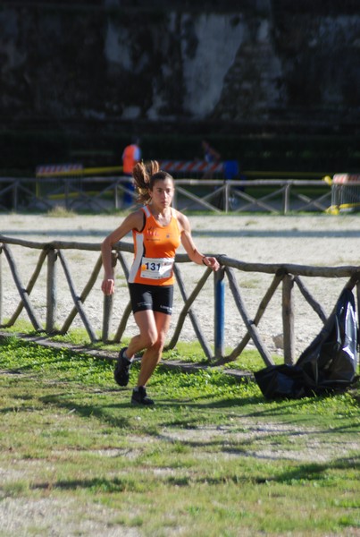Maratona di Roma a Staffetta (19/10/2013) 00016