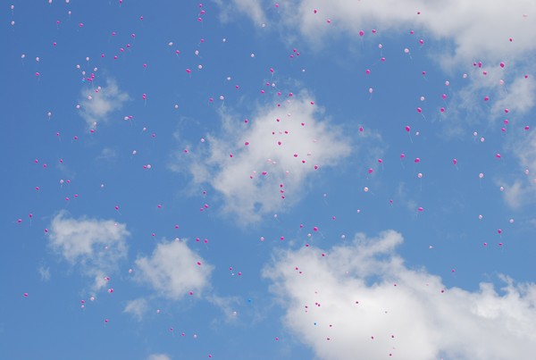 Race For The Cure (19/05/2013) 00014