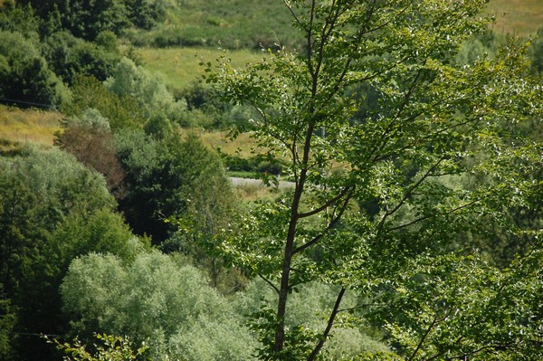 Giro del Lago di Campotosto (T.S./C.E.) (27/07/2013) 00115