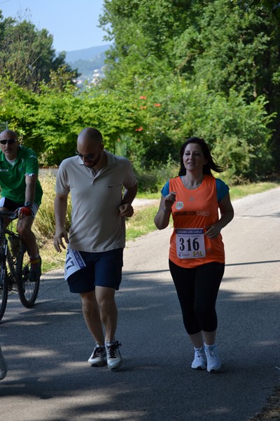 Corriamo con Carlo (16/06/2013) 113