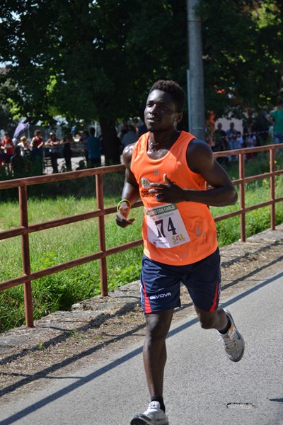 Corriamo con Carlo (16/06/2013) 245