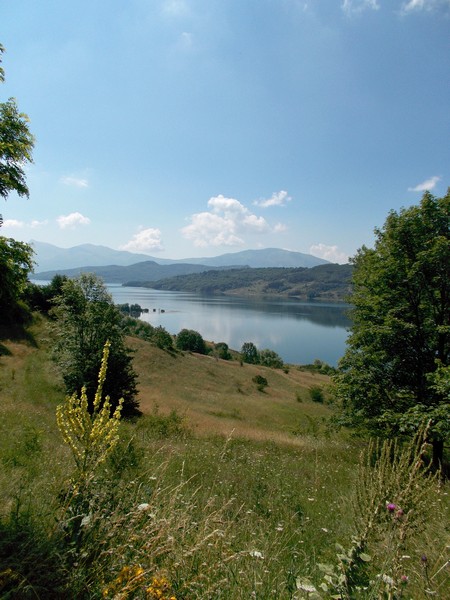 Giro del Lago di Campotosto (T.S./C.E.) (27/07/2013) 026