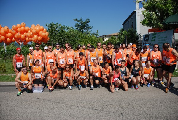 Corriamo con Carlo (16/06/2013) 00087