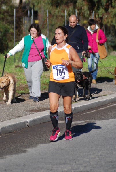 Corriamo al Tiburtino (17/11/2013) 00124
