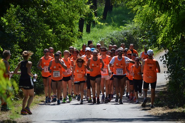 Corriamo con Carlo (16/06/2013) 193