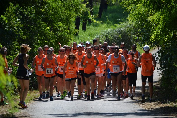 Corriamo con Carlo (16/06/2013) 195