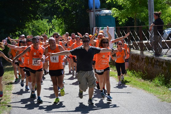 Corriamo con Carlo (16/06/2013) 199