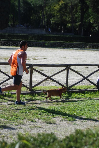 Maratona di Roma a Staffetta (19/10/2013) 00045
