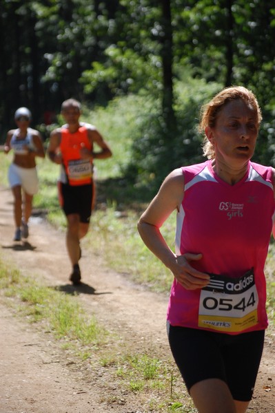 Trofeo Città di Nettuno (02/06/2013) 00014