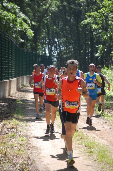 Trofeo Città di Nettuno (02/06/2013) 00020