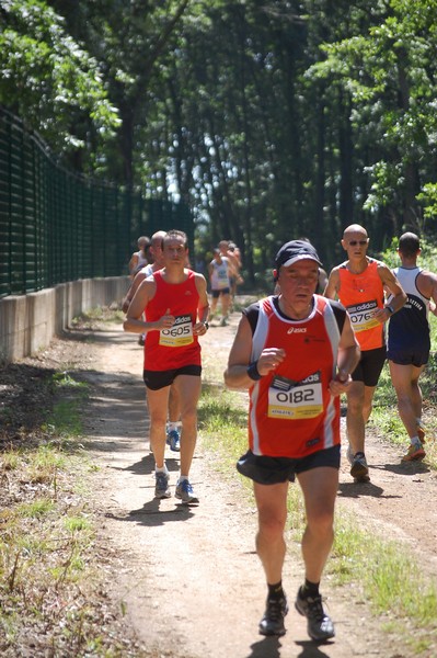 Trofeo Città di Nettuno (02/06/2013) 00024