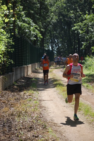Trofeo Città di Nettuno (02/06/2013) 00091