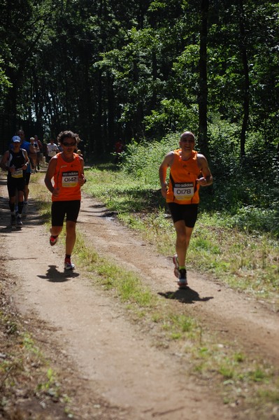 Trofeo Città di Nettuno (02/06/2013) 00097