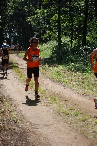 Trofeo Città di Nettuno (02/06/2013) 00099
