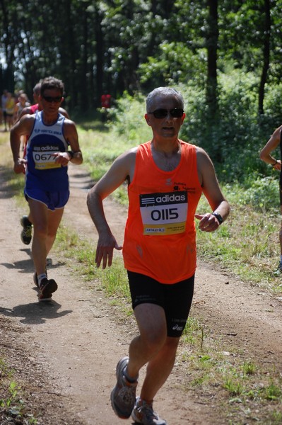 Trofeo Città di Nettuno (02/06/2013) 00133