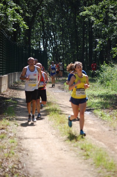Trofeo Città di Nettuno (02/06/2013) 00141