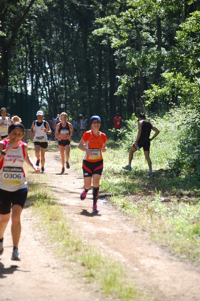 Trofeo Città di Nettuno (02/06/2013) 00149