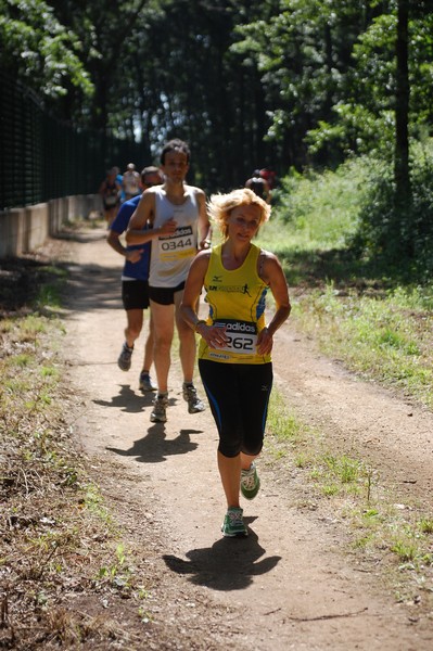 Trofeo Città di Nettuno (02/06/2013) 00162