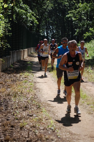 Trofeo Città di Nettuno (02/06/2013) 00169