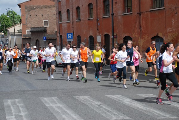Race For The Cure (19/05/2013) 00027