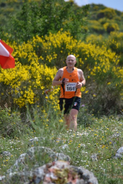 Tibur Ecotrail (Crit. Trail) (12/05/2013) 001