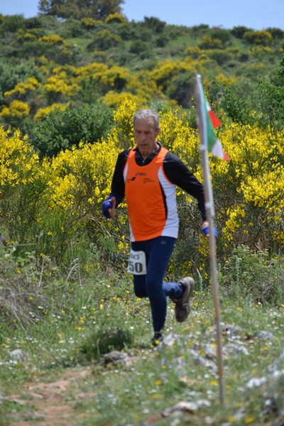 Tibur Ecotrail (Crit. Trail) (12/05/2013) 054