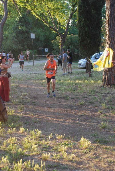 Solstizio d'estate (19/06/2013) 00060