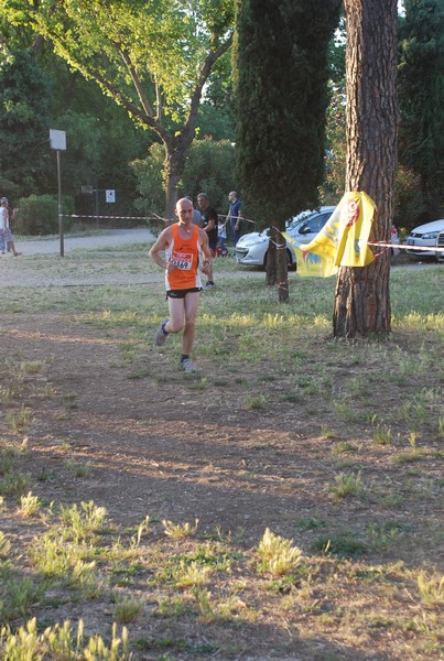 Solstizio d'estate (19/06/2013) 00061