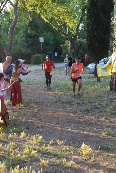 Solstizio d'estate (19/06/2013) 00067
