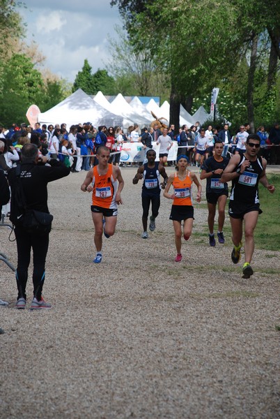 Walk of life - Corri per Telethon (21/04/2013) 00157