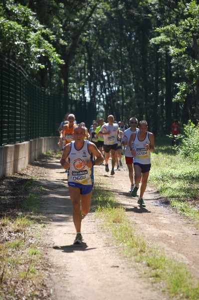 Trofeo Città di Nettuno (02/06/2013) 00014
